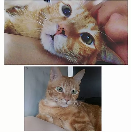 編號: 20150531 仔仔