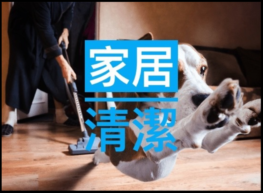 寵物 家居清潔??
