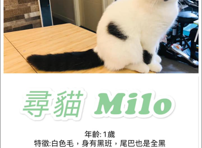 20151254 Milo